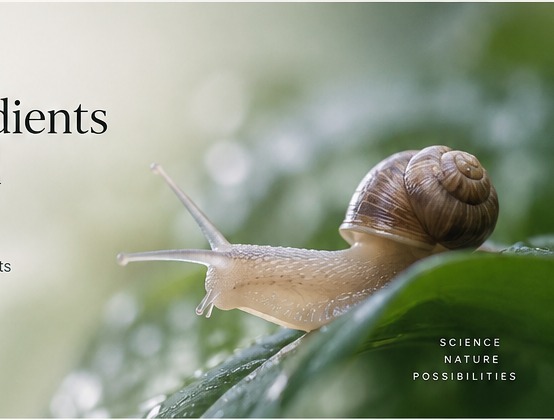 Snail on a dewy leaf